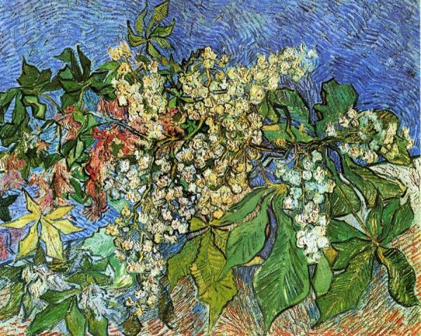 Blossoming Chestnut Branches by Vincent Van Gogh