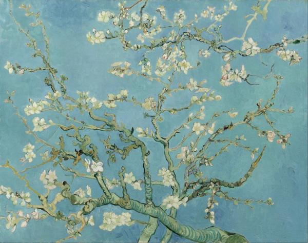 Branches With Almond Blossom by Vincent Van Gogh