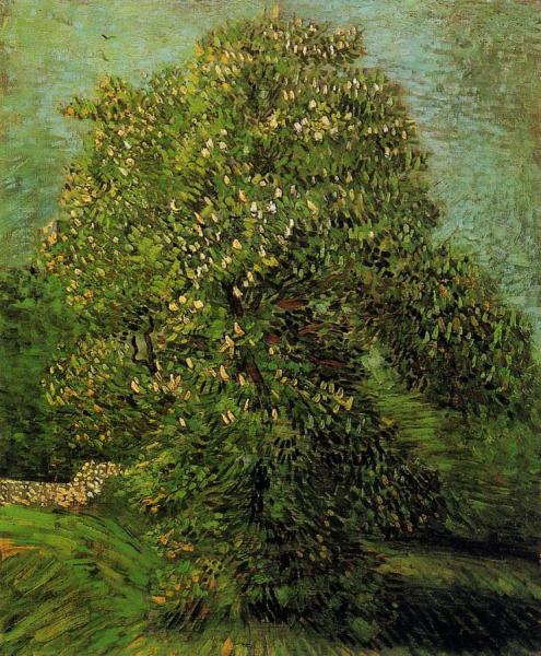 Chestnut Tree In Bloom by Vincent Van Gogh