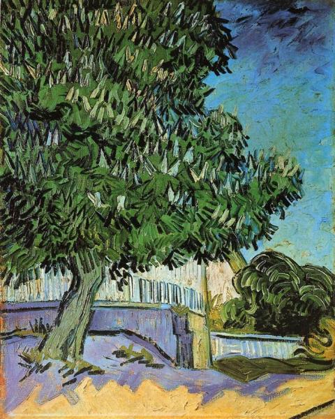 Chestnut Trees In Bloom by Vincent Van Gogh