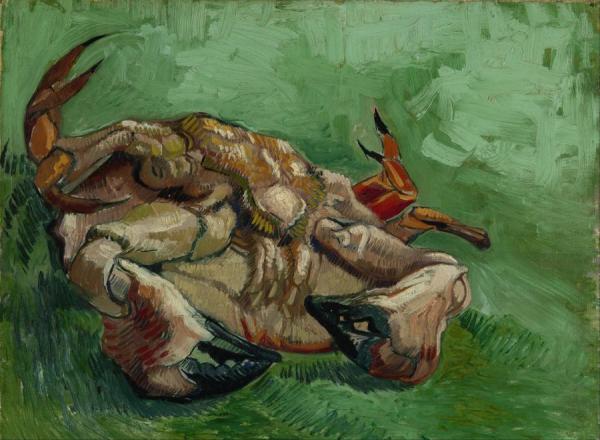 Crab On Its Back by Vincent Van Gogh