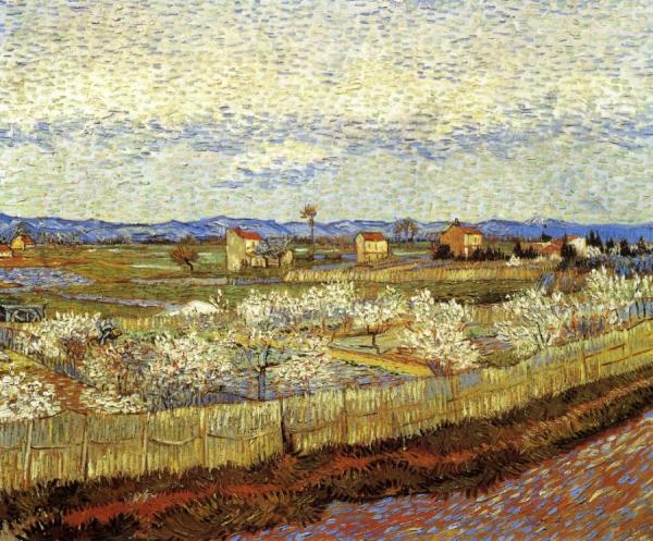 La Crau With Peach Trees In Bloom by Vincent Van Gogh