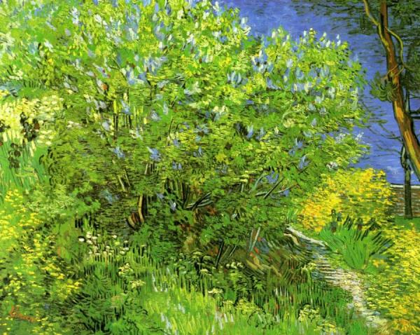 Lilacs by Vincent Van Gogh