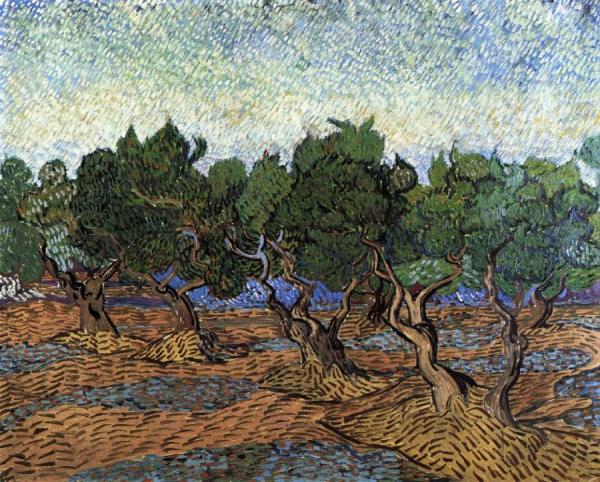 Olive Grove by Vincent Van Gogh Oil Painting Reproductions