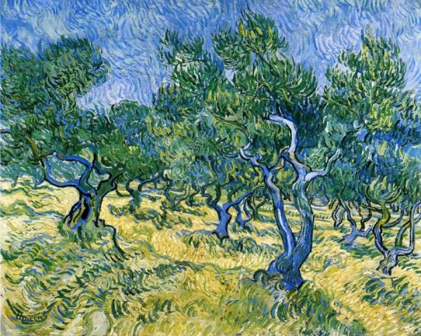 Olive Grove by Vincent Van Gogh Oil Painting Reproductions