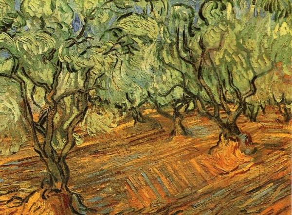 Olive Grove: Bright Blue Sky by Vincent Van Gogh
