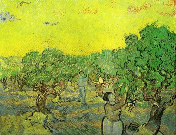 Olive Grove With Picking Figures by Vincent Van Gogh Oil Painting Reproductions