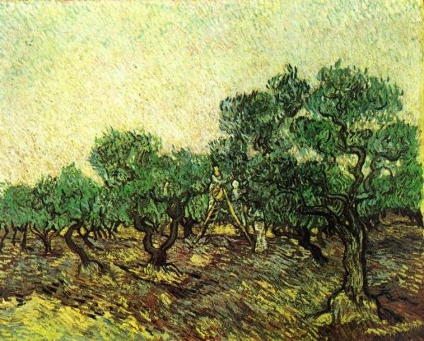 Olive Picking by Vincent Van Gogh
