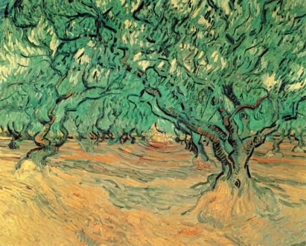 Olive Trees by Vincent Van Gogh