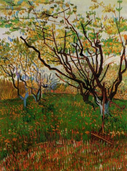 Orchard In Bloom by Vincent Van Gogh