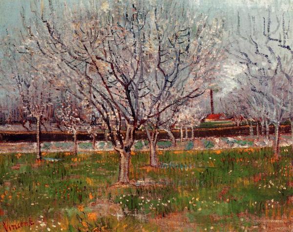 Orchard In Blossom by Vincent Van Gogh