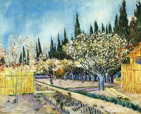 Orchard Surrounded By Cypresses by Vincent Van Gogh