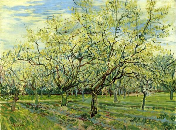 Orchard With Blossoming Plum Trees by Vincent Van Gogh