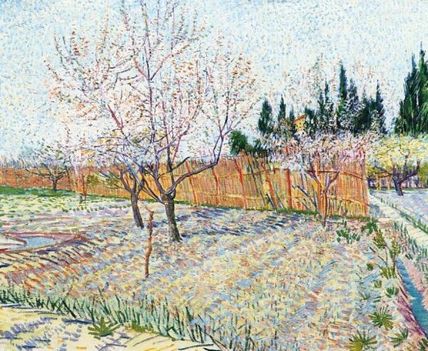 Orchard With Peach Trees In Blossom by Vincent Van Gogh