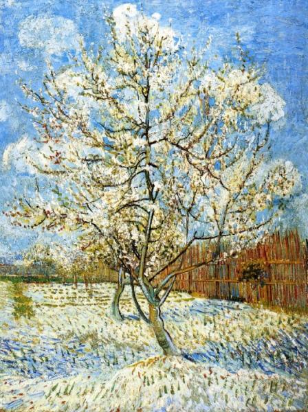 Peach Trees In Blossom by Vincent Van Gogh