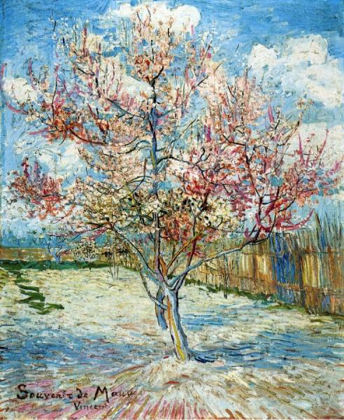 Peach Trees In Blossom by Vincent Van Gogh