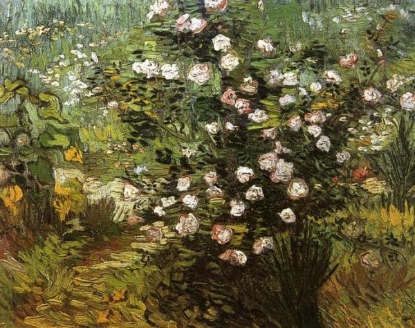 Rosebush I Blossom by Vincent Van Gogh