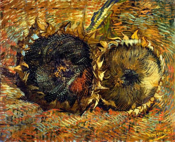 Still Life With Two Sunflowers by Vincent Van Gogh