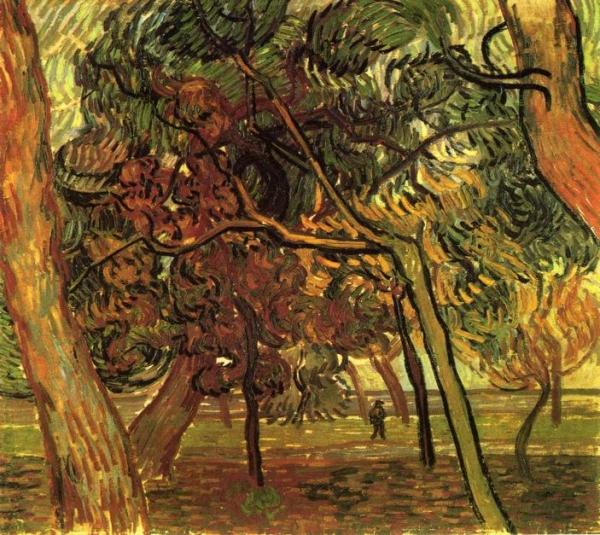 Study Of Pine Trees by Vincent Van Gogh
