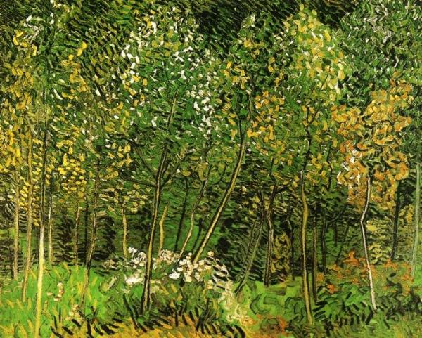 The Grove by Vincent Van Gogh Oil Painting Reproductions