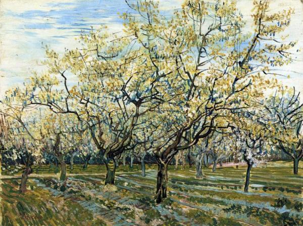 The White Orchard by Vincent Van Gogh