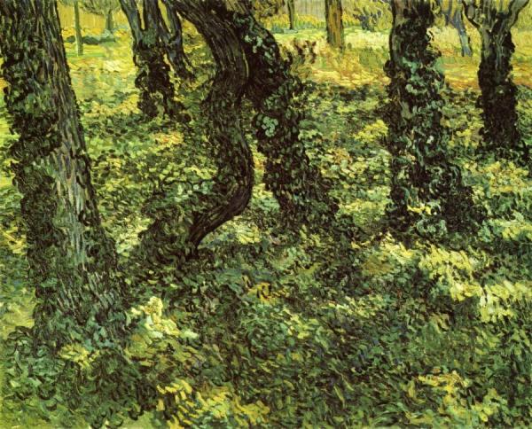 Trunks Of Trees With Ivy by Vincent Van Gogh