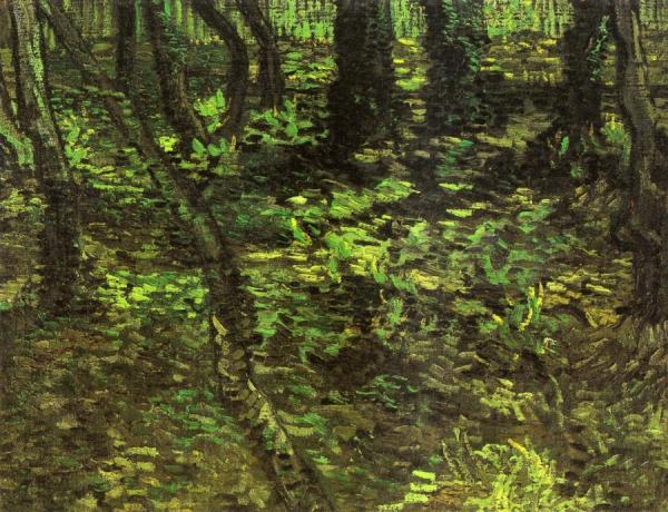 Undergrowth With Ivy by Vincent Van Gogh Oil Painting Reproductions