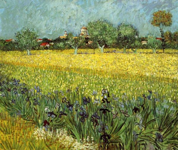 View Of Arles With Irises by Vincent Van Gogh
