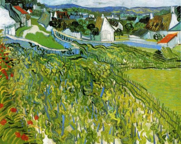 Vineyards At Auvers, 1890 by Vincent Van Gogh