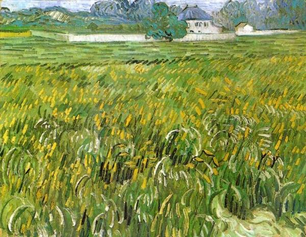 Wheat Field At Auvers With White House by Vincent Van Gogh