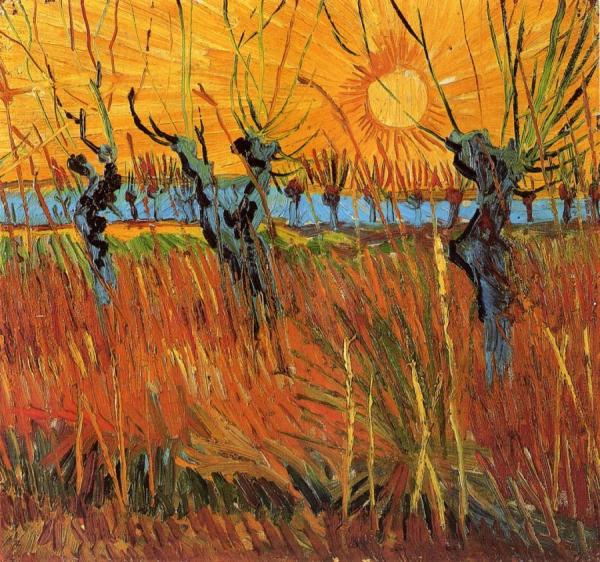 Willows At Sunset by Vincent Van Gogh
