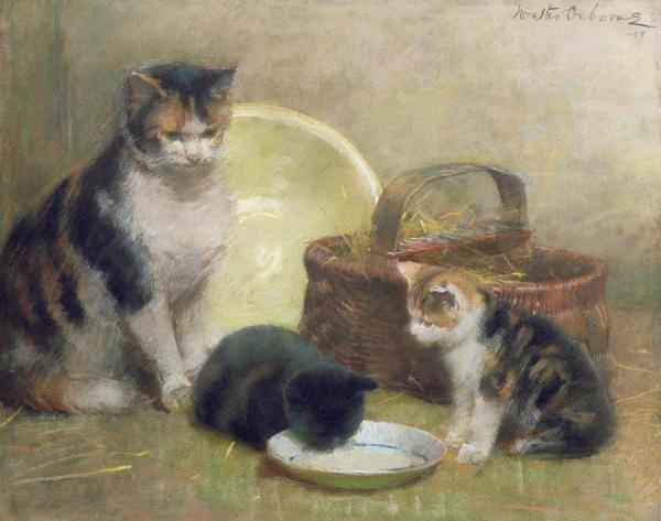 Cat And Kittens by Walter Frederick Osborne