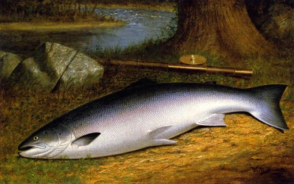 The Successful Catch by Walter M. Brackett