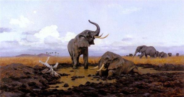 In The Twilight, Elephants by Wilhelm Kuhnert