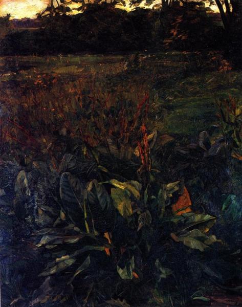 Plant Study In Park Hemsbach by Wilhelm Trübner