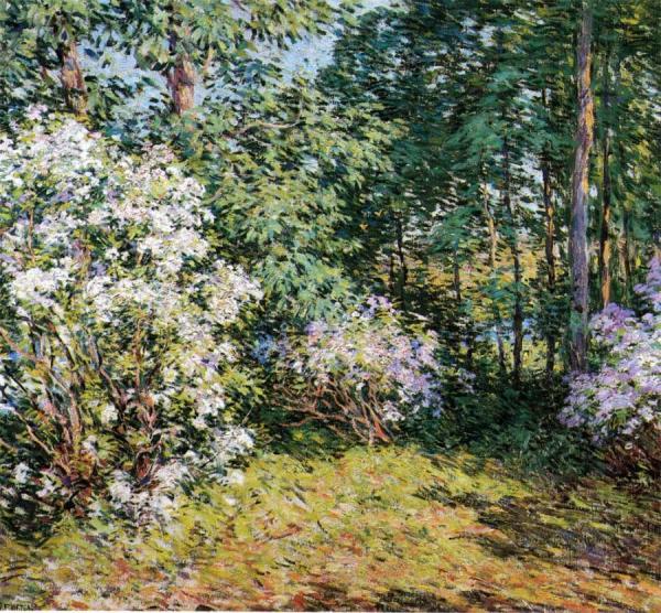 Laurel Woods by Willard Leroy Metcalf