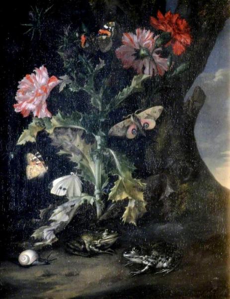 Still Life With Carnations And Frogs by Willem Van Aelst
