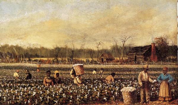 Cotton Picking In Front Of The Quarters by William Aiken Walker