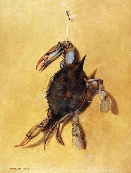 Crab by William Aiken Walker