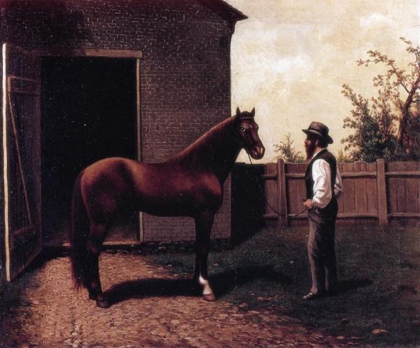 Dt. Diehl And Morgan Horse In Louisville Kentucky by William Aiken Walker