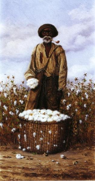 Negro Man In Cotton Field With Basket Of Cotton by William Aiken Walker