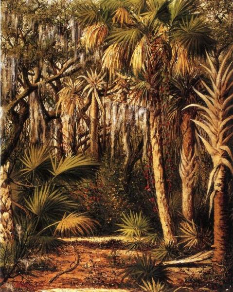 Palm Hammock With Epiphytes by William Aiken Walker