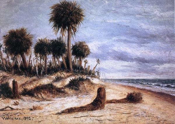 Palm Trees On The Beach At Fort Walton by William Aiken Walker