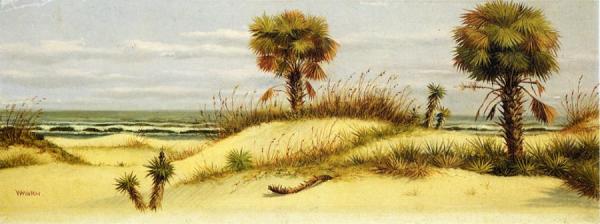 Palms At Ponce Park, Florida by William Aiken Walker