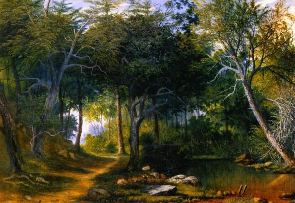 Path In The Woods, New Bedford by William Allen Wall