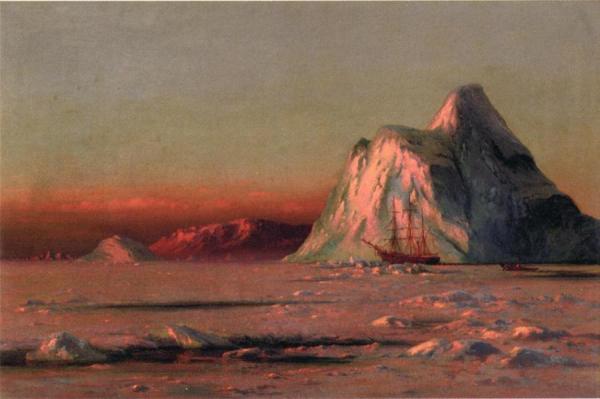 The Bark "panther" Under The Midnight Sun by William Bradford