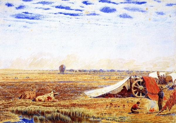 Buffalo Magnified By Mirage by William George Richardson Hind