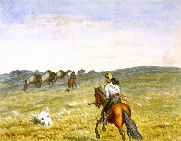 Buffalo On The Prarie by William George Richardson Hind