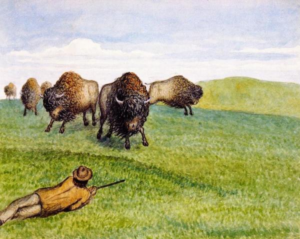 Hunting Buffalo by William George Richardson Hind