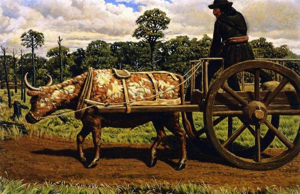 Ox With Red River Card by William George Richardson Hind